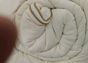無(wú)印良品子母被二合一大豆被子學(xué)生宿舍秋冬被芯(3+5)8斤150x200cm拉鏈款 曬單實(shí)拍圖