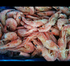 漁游記丹麥黑頭北極甜蝦 海藻頭北極蝦 凈重2.6斤120-160只 曬單實(shí)拍圖