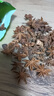 墨源八角茴香八角大料廣西大紅干八角香料大茴香八角新干貨大香八角粉 八角茴香250克 曬單實(shí)拍圖