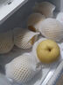 趣嘗鮮河北正宗皇冠梨 9斤 單果230g+ 生鮮當季水果 源頭直發(fā) 曬單實(shí)拍圖