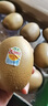 佳沛（zespri）新西蘭  陽光金果10粒巨大果單果約144-175g 中秋水果禮盒 獼猴桃 曬單實拍圖