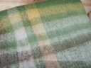 啄木鳥(niǎo)美拉德綠色格子圍巾2025新款秋冬季女款復古百搭加厚保暖披肩圍脖 條形綠色格子 曬單實(shí)拍圖