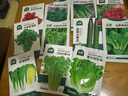 北蔬 蔬菜種子種苗蘿卜白菜香菜生菜蔥菠菜秋種菜籽 11種蔬菜種子套餐 曬單實(shí)拍圖