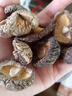 新香菇500g干貨無(wú)干燥劑商用涮鍋食材冬菇高山菇煲湯炒菜燒烤散裝 250g干香菇 曬單實(shí)拍圖