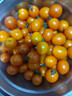 京喜加夏日陽(yáng)光小番茄黃色迷戀圣女果即食水果小柿子現摘現發(fā)減肥 黃色圣女果三斤裝 曬單實(shí)拍圖