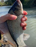 達億瓦（DAIWA）25新款前卸力魷魚(yú)紡車(chē)輪雙搖臂海釣漁輪木蝦漁線(xiàn)輪十大品牌 LT2500S（淺線(xiàn)杯+單搖把） 左右手互換型 曬單實(shí)拍圖