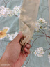 浪莎絲襪女夏季超薄款光腿神器5A抑菌不易勾絲性感長(zhǎng)筒肉色打底褲襪 曬單實(shí)拍圖