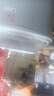 榮事達脫水機家用甩干機大容量不銹鋼甩干桶脫水桶小型單缸單甩干衣機宿舍出租房單脫水速干熱烘干一體 9公斤【加厚不銹鋼款】無(wú)損傷內桶三年換新 曬單實(shí)拍圖
