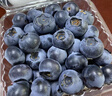 京鮮生 當季云南藍莓 12盒超大果22mm+ 125g/盒 生鮮水果 源頭直發(fā) 包郵 曬單實(shí)拍圖