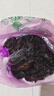 辰實(shí)【順豐】菱角新鮮 湖北洪湖老菱角 農家黑色帶殼 烏菱角黑兩角 3斤（優(yōu)選 ） 順豐快遞 曬單實(shí)拍圖