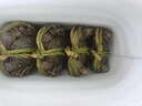 【活蟹】塘南美固城湖大閘蟹 黃滿(mǎn)膏肥 鮮活特大螃蟹  公母蟹活蟹 公3.5-3.8兩 母2.5-2.8兩 4對8只裝 曬單實(shí)拍圖