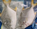 翔泰 海南金鯧魚(yú)凈重900g 2條裝  魚(yú)類(lèi)生鮮 火鍋食材 海鮮水產(chǎn)  曬單實(shí)拍圖