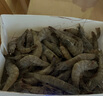 鮮享純【青島蝦】超大蝦新鮮大蝦冷凍鮮活青島大蝦批發(fā)整箱基圍蝦青蝦 15-17厘米鮮蝦速凍 3斤(凈重) 曬單實(shí)拍圖