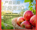 京鮮生 云南昭通紅露蘋(píng)果 凈重5斤 單果70mm+新鮮水果 源頭直發(fā) 包郵 曬單實(shí)拍圖