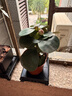 小盼菩提樹(shù)盆栽綠植物室內花盆景辦公室桌面觀(guān)葉四季客廳好養活樹(shù) 2盆-菩提【帶果發(fā)貨】原盆原土 帶盆栽好 曬單實(shí)拍圖