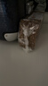 捷森（jason） 德國(guó)進(jìn)口 四種谷物面包500g/袋  全麥營(yíng)養(yǎng)早餐吐司 粗糧健身代餐 曬單實(shí)拍圖