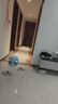 Hsiasun pvc塑膠地板清潔劑幼兒園舞蹈室健身運動(dòng)球場(chǎng)橡膠地面強力去污 曬單實(shí)拍圖
