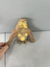 煦貝樂(lè )解壓玩具減壓王總大猩猩捏捏樂(lè )裝沙包拉伸發(fā)泄神器辦公室變形網(wǎng)紅 曬單實(shí)拍圖