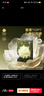babycare一次性內(nèi)褲山茶花孕產(chǎn)婦月子待產(chǎn)出差旅行女XL碼15條【安全滅菌】 曬單實拍圖