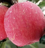 京地達洛川蘋(píng)果凈重8.5斤單果180g+陜西紅富士蘋(píng)果水果源頭直發(fā)包郵 曬單實(shí)拍圖