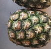 都樂(lè )Dole 菲律賓無(wú)冠鳳梨 菠蘿 中果2個(gè)*800g起 酸甜可口源頭直發(fā)包郵 曬單實(shí)拍圖