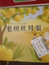 京鮮生青青大地萊陽老樹秋月梨 6斤6粒 精品大果水果禮盒 曬單實(shí)拍圖