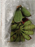 粵迎廣西小米蕉【青蕉發(fā)貨收到需催熟】芭蕉香產(chǎn)地直發(fā)甜粉糯現(xiàn)摘現(xiàn)發(fā) 5斤精選裝【香甜軟糯】凈4.5斤 曬單實(shí)拍圖