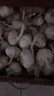 特大河南大蒜頭調料蒜蓉2025年新蒜頭蔬菜 河南中牟農家蒜（60mm - 70mm特級） 2斤【辛辣十足 調味絕佳】 曬單實(shí)拍圖