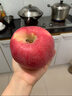 正宗山東煙臺紅富士蘋(píng)果棲霞10斤時(shí)令水果當季新鮮整箱特產(chǎn)一級大 9斤 90mm-95mm 曬單實(shí)拍圖