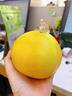 南步福建平和黃金葡萄柚 爆汁黃金柚子蜜柚榨汁橙西柚子新鮮酸甜水果 9斤 優(yōu)選花皮果【單果200g+】 曬單實(shí)拍圖