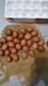 高品質(zhì)紅皮雞蛋購(gòu)買(mǎi)紅皮新鮮大個(gè)品牌24小時(shí)發(fā)貨現(xiàn)撿現(xiàn)發(fā)月 30枚溜達(dá)散養(yǎng)蛋實(shí)惠裝 高于市場(chǎng)品質(zhì)五谷鮮蛋 曬單實(shí)拍圖