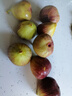 沐小七果蔬云南無(wú)花果鮮果5斤禮盒裝【JD順豐】現摘紅青紫皮爆甜水果非威海 S+級特大果|單果50-60g【超甜】 3斤【超值推薦-80%選擇】?jì)?.5斤 曬單實(shí)拍圖