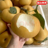 京地達(dá)山東萊陽秋月梨8斤單果400g+新鮮水果脆甜梨子大果源頭直發(fā)包郵 曬單實(shí)拍圖