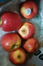 新西蘭紅玫瑰蘋(píng)果進(jìn)口queen蘋(píng)果脆甜新鮮水果10個(gè)大標簽隨機 10個(gè)（單果130-150g） 曬單實(shí)拍圖