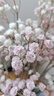 黛莉森ins風(fēng)仿真單枝滿(mǎn)天星客廳假花裝飾花藝餐桌塑料花插花擺件婚慶花 6枝秋淺粉 曬單實(shí)拍圖