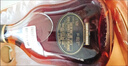 軒尼詩(shī)Hennessy/XO700ml/1000ml 干邑白蘭地 法國進(jìn)口 正品瓶裝 軒尼詩(shī)XO 700mL 1瓶 曬單實(shí)拍圖