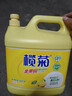 欖菊檸檬洗潔精大桶5kg 金果園餐具洗滌靈果蔬清洗劑食品用級別洗滌劑 曬單實(shí)拍圖