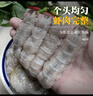 一蝦一世界鮮活熟凍皮皮蝦 新鮮蝦爬子瀨尿蝦大號爬爬蝦肉蝦婆肉 燒烤食材  生凍皮皮蝦肉 3斤(凈重)  【活剝】 曬單實(shí)拍圖