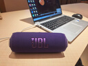 JBL FLIP7 音樂(lè )萬(wàn)花筒七代 藍牙音箱 戶(hù)外音響 AI音效增強 防水防塵多臺串聯(lián) 賽道揚聲器獨立高音單元 紫色 曬單實(shí)拍圖