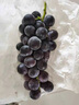 云南夏黑葡萄5斤新鮮應當季無(wú)籽葡萄黑加侖提子孕婦水果整箱4 云南夏黑葡萄 1斤 曬單實(shí)拍圖