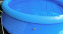swimbobo兒童游泳圈U形 寶寶初學(xué)腋下圈防嗆水防側翻泳圈游泳裝備BO1012XL 曬單實(shí)拍圖