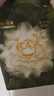 babycare金山茶花紙尿褲S58片(4-8kg)新生兒嬰兒尿不濕超薄透氣輕柔花苞褲 曬單實(shí)拍圖