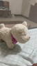 babycare電動(dòng)毛絨玩具娃娃玩偶生日禮物西高地【帽子和三角巾】 曬單實(shí)拍圖