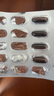 福施福膠囊營(yíng)養素補充劑30粒 含葉酸備孕婦哺乳期女補多種維生素礦物質(zhì) 曬單實(shí)拍圖