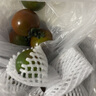 【順豐】丹東鐵皮西紅柿子2025鹽堿地番茄綠腚油草莓柿子茄果瓜 3斤 精選果 曬單實(shí)拍圖