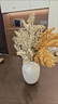 元族茉澈侘寂風(fēng)油畫(huà)霧凇·仿真植物假花擺設花藝擺件桌面花瓶插花裝飾 淺色魅力】姜黃-葉色凇枝五頭*3【 曬單實(shí)拍圖