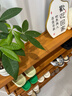 小匠材鞋架簡易小型入戶門口多層家用鞋柜學(xué)生宿舍出租屋收納置物架六層 曬單實(shí)拍圖