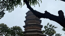 素人女包單肩斜挎經(jīng)典盒子包生日禮物送女友輕奢原創(chuàng  )設計腋下包 1673 墨綠色 曬單實(shí)拍圖
