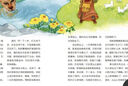 中國校園文學(xué)雜志 2025年1-10月青春號/青年號/少年號 多期可選 小學(xué)初中高中作文素材語(yǔ)文滿(mǎn)分作文 青春號【半年訂閱】2025年10月-26年3月 曬單實(shí)拍圖