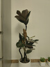 大型盆栽各種植物發(fā)財樹(shù)金錢(qián)樹(shù)綠蘿慶典喬遷盆景綠植辦公室內客廳 造型橡皮樹(shù)樹(shù)1.3-1.5米【聚寶盆】 含盆 曬單實(shí)拍圖